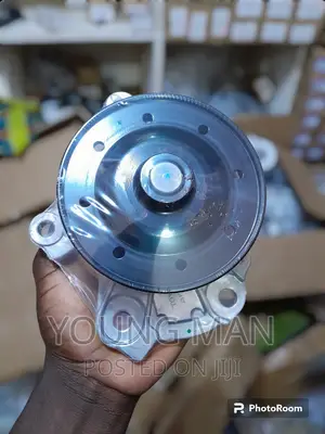 Toyota Corolla, Matrix, Vibe, 2009 Water Pumps