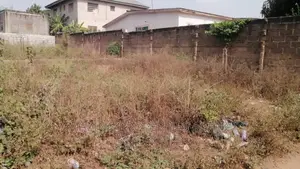 2 Plots of Main Roadside Land Available for Sale at Lashibi