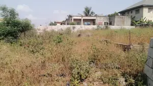 Half an Acre of Litigation-Free Land for Sale at Dzorwulu,