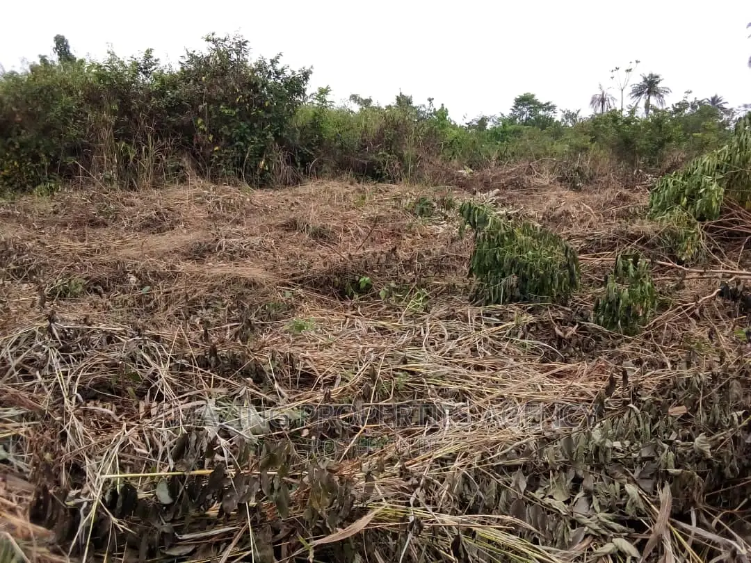20 Acres of Land,Walled and Gated Tema,