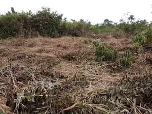 20 Acres of Land,Walled and Gated Tema,