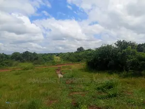 20 Acres of Roadside Land for Sale West Trasacco Borteyman.