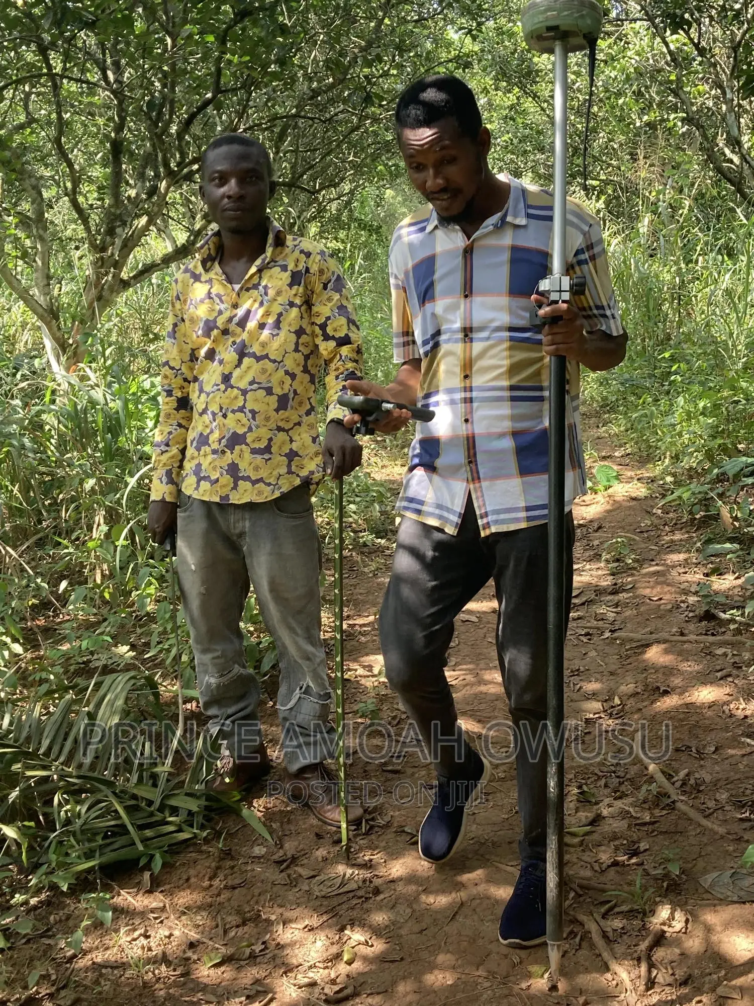 Land Surveyor