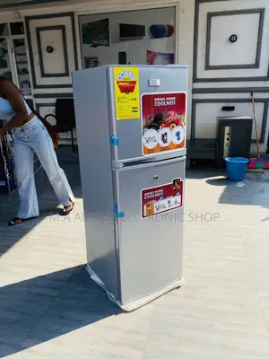 Durable and Affordable Zara 22TM Double Door Fridge 