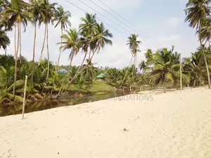 Beach Property