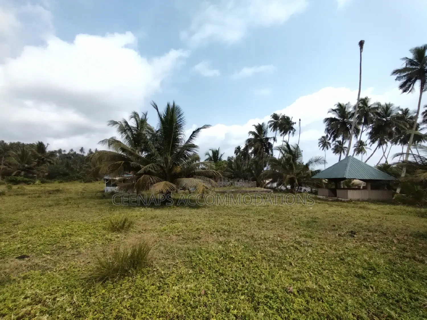 Beach Property