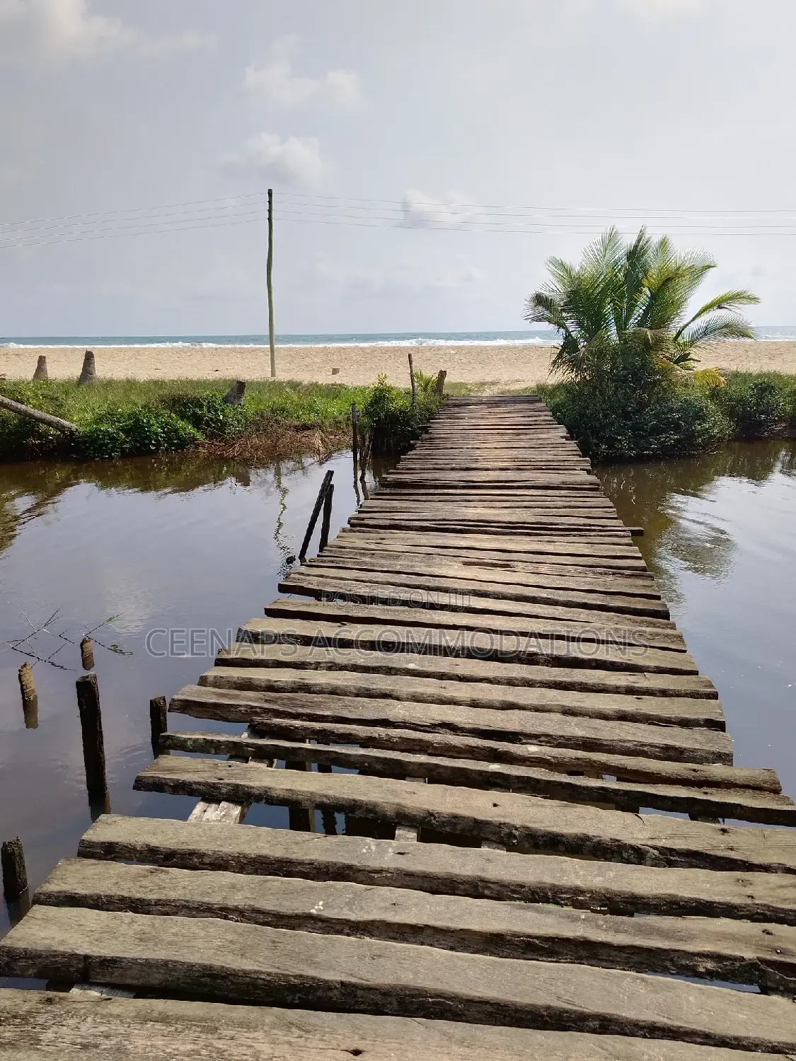 Beach Property