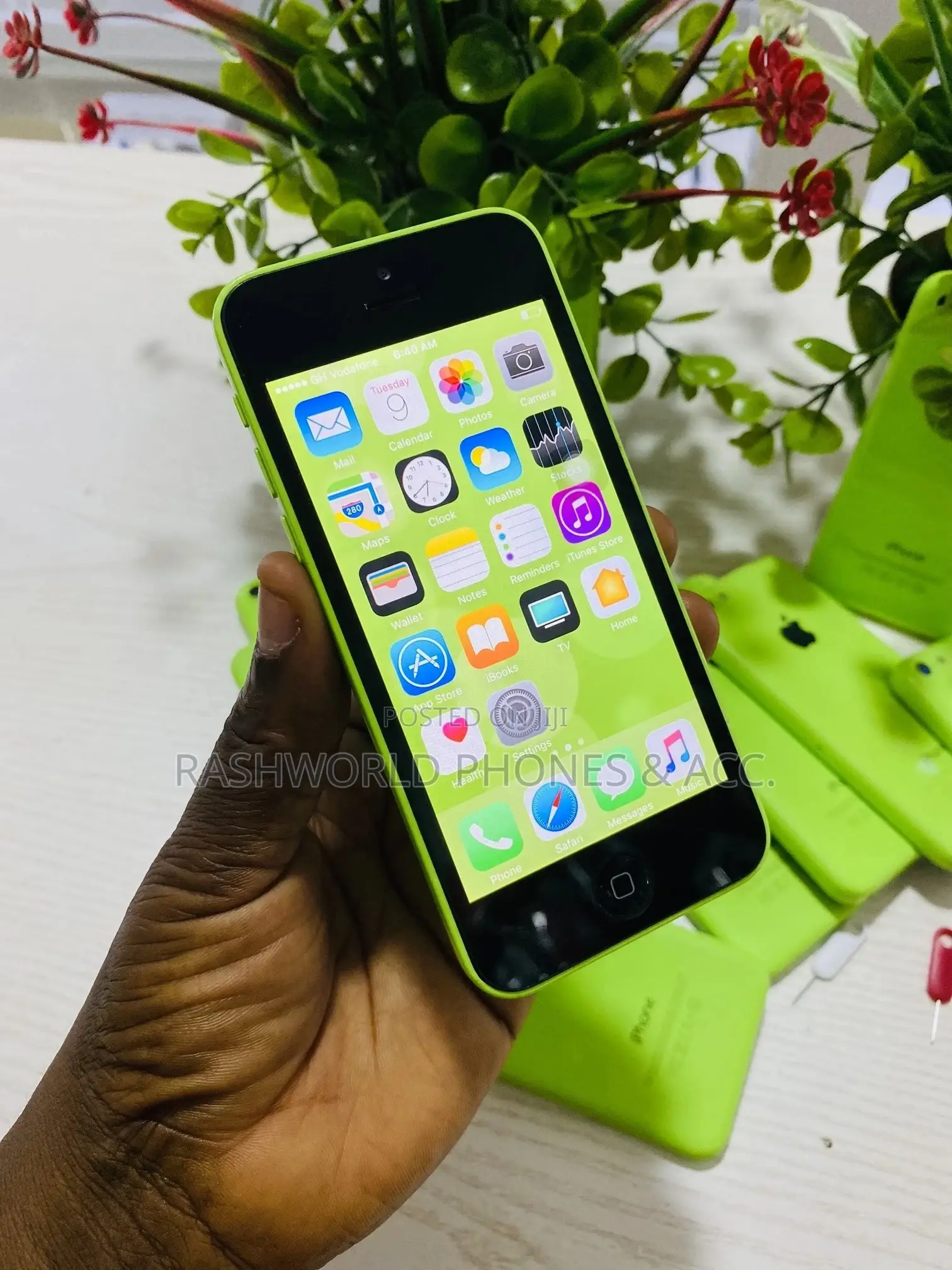 Apple iPhone 5c 16 GB Green