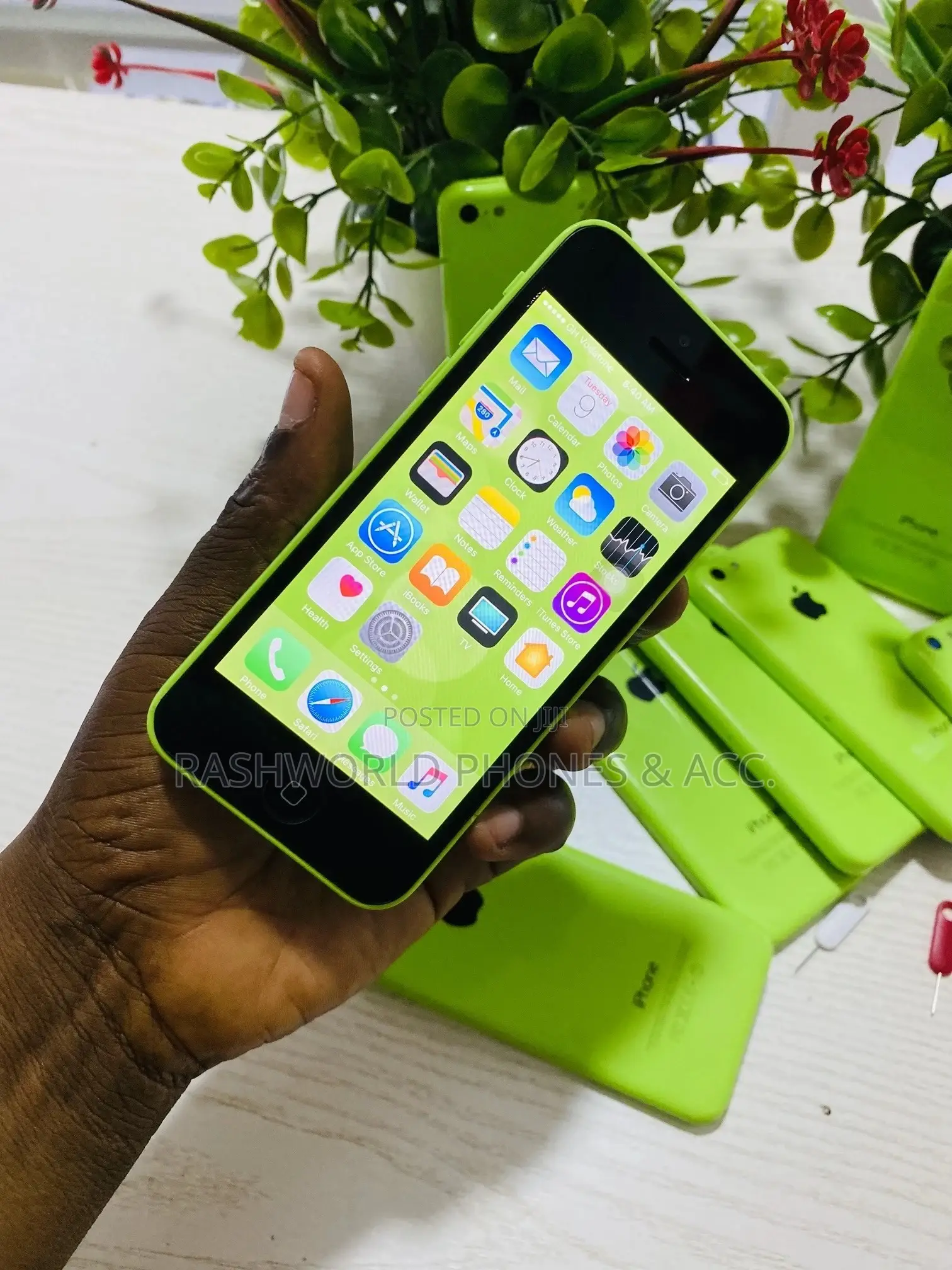 Apple iPhone 5c 16 GB Green