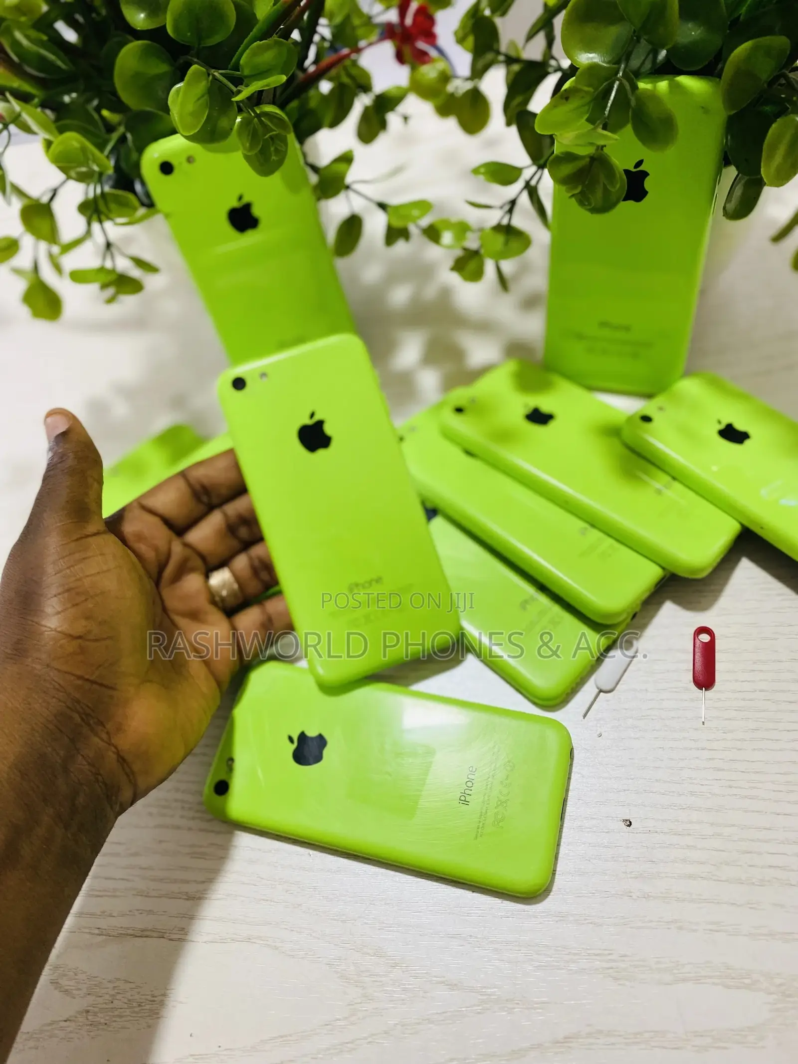 Apple iPhone 5c 16 GB Green