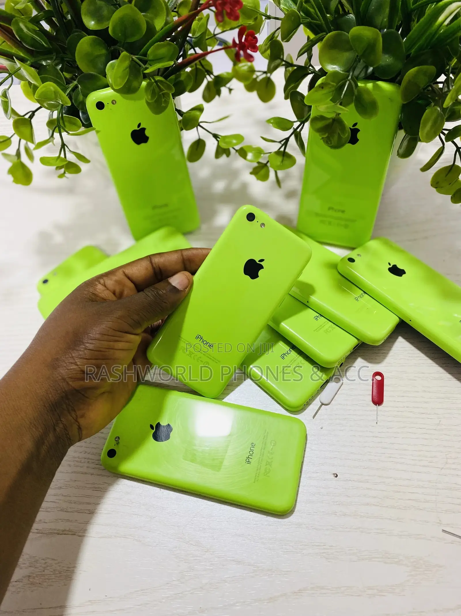 Apple iPhone 5c 16 GB Green