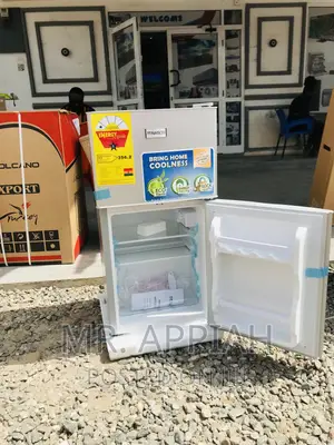 Energy Sufficient Nasco 2 Door Electric Fridge(Nasf2-120 ).