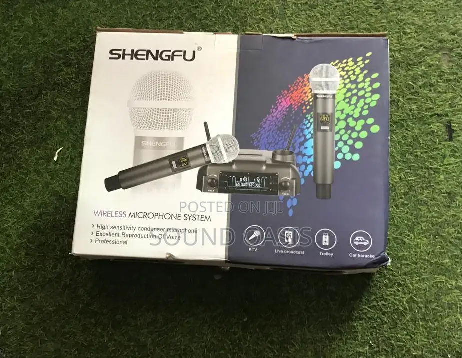 Shengfu Professional Wireless Dual Microphone System