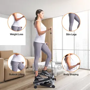 Mini Stepper Full Body Workout Exercise Machine
