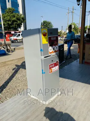 Reliable and Affordable Zara 22TM 2 Door Electric Fridge