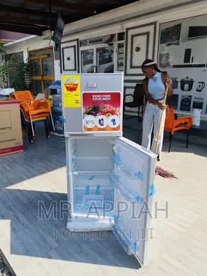 Energy Sufficient Zara 22TM Double Door Electric Fridge.