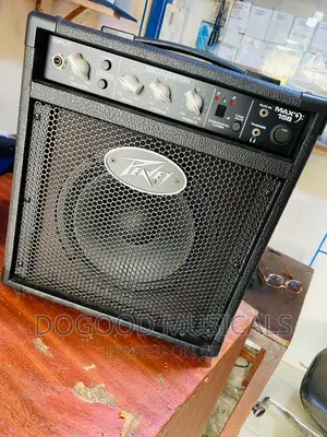 Peavey MAX158 8inch Combo