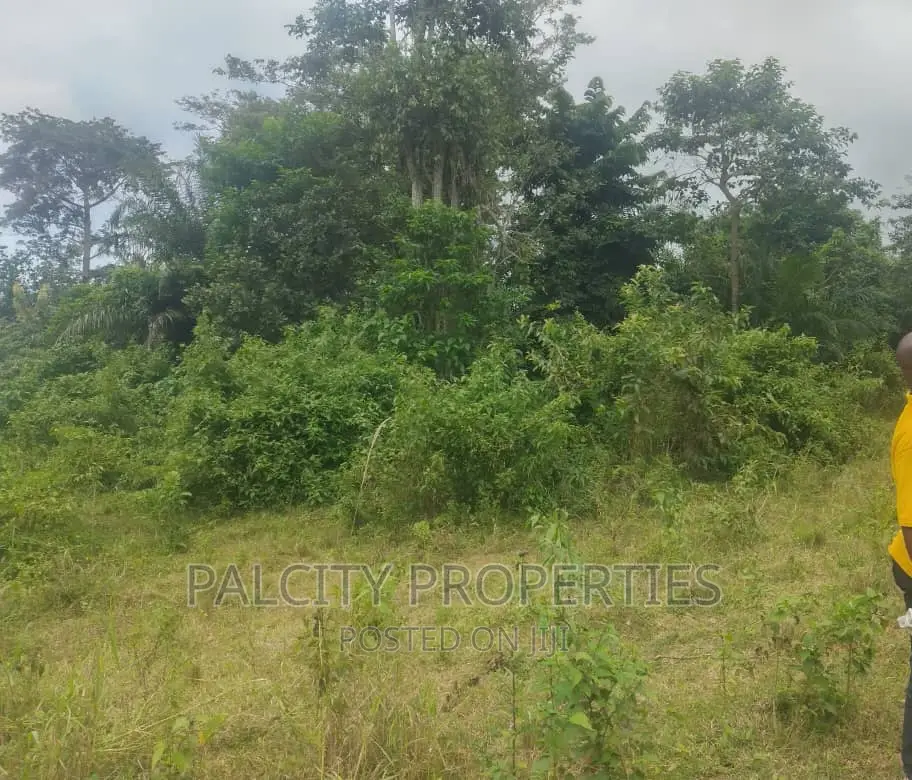 Over 100 Acre of Farm Lands for Sale