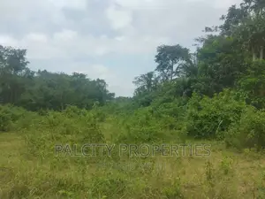 Over 100 Acre of Farm Lands for Sale