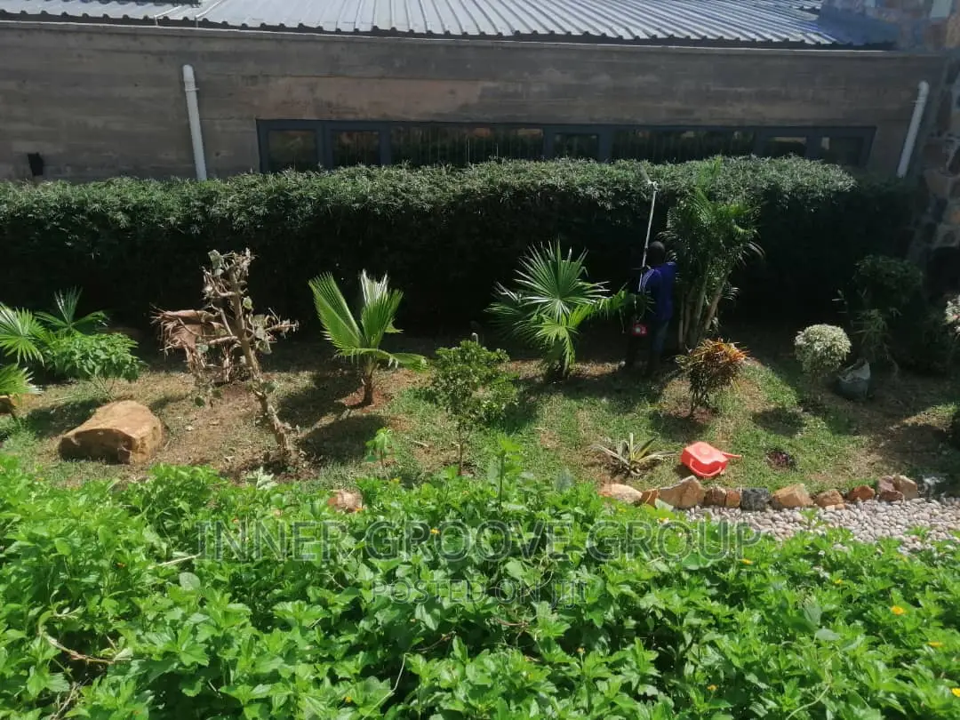 Landscape Design and Construction