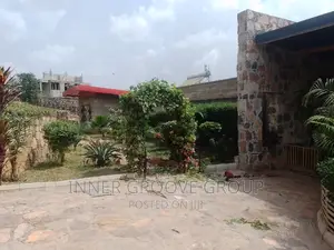 Landscape Design and Construction
