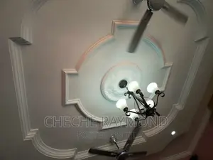 Pop Ceilings Works
