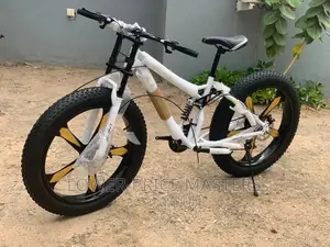 Snow Mountain Bike With Spoke Wheels and Blade