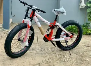 Snow Mountain Bike With Spoke Wheels and Blade