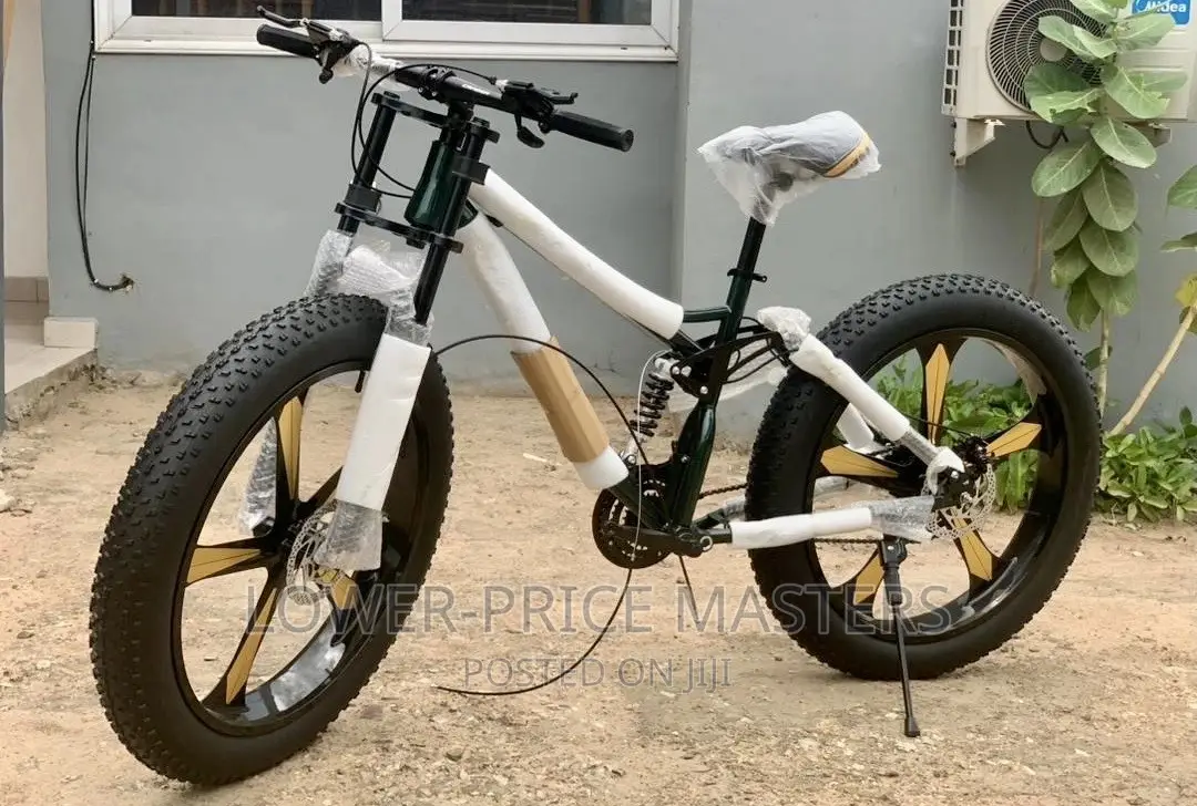 Snow Mountain Bike With Spoke Wheels and Blade