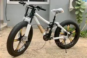 Snow Mountain Bike With Spoke Wheels and Blade