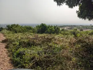 40000 Acres of Farmland at Juapong