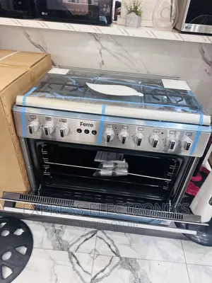 Eco Friendly Gas Cooker Electric Cooker Stove 4-2 Ferre