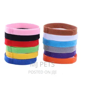 Identification Collar for Puppies