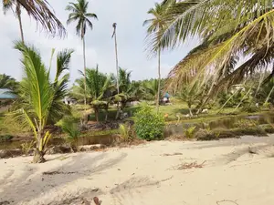 Beach Property