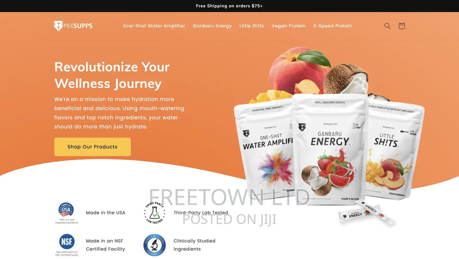 Professional Website Development
