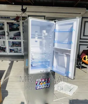 Stainless Steel PearlPf-330bwd 2door Electric Fridge,Silver