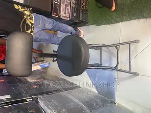 Guitar Seat With Stand