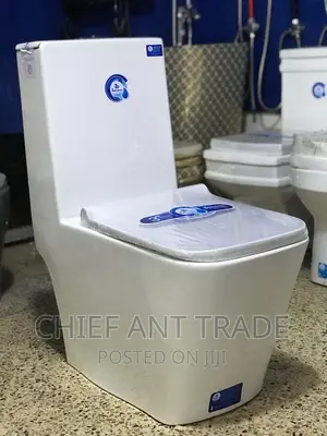 Toilet Seat / Water Closet . One Piece