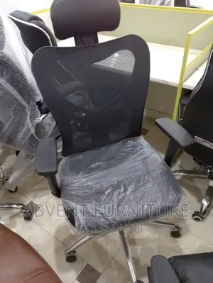 Orthopedic Chair