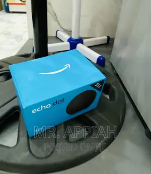Budget-Friendly Echo Dot Bluetooth Portable Speaker.