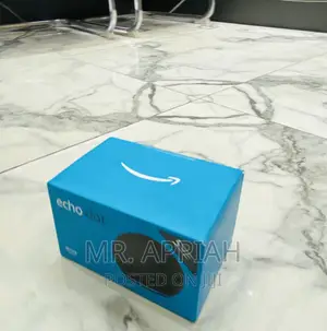 Long Lasting Echo Dot Bluetooth Portable Speaker.