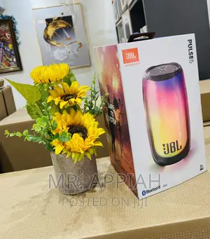 Portable JBL Pulse 5 Bluetooth Speaker.
