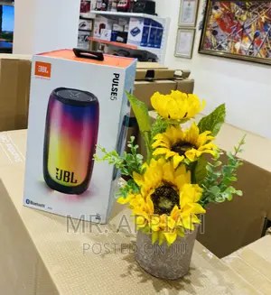 Classic JBL Pulse 5 Bluetooth Portable Speaker.