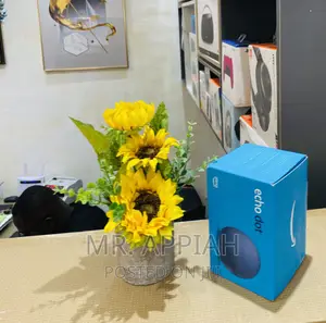 Affordable Echo Dot 5th Gen Portable Bluetooth Speaker.