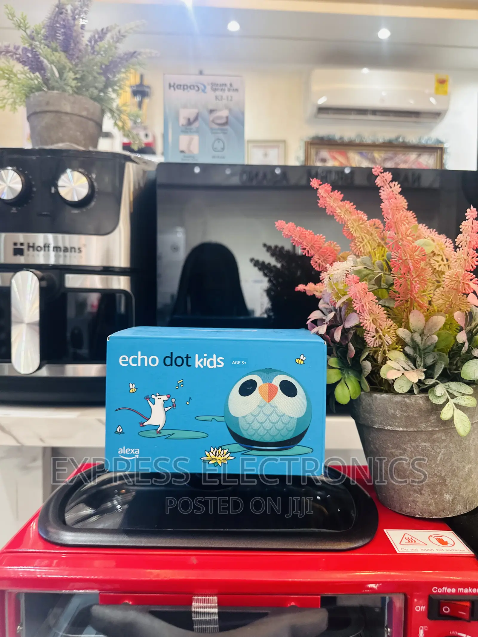 Neatly Sealed Ecodot Kids —Bluetooth