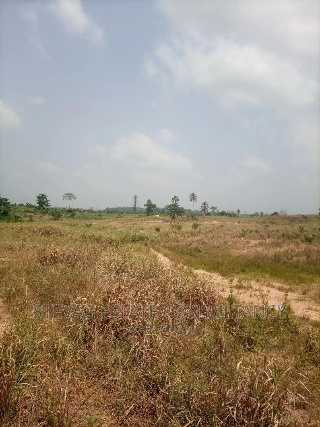 Alpha Properties Real Estate Land for Sale at Adawukwa