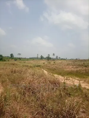 Alpha Properties Real Estate Land for Sale at Adawukwa