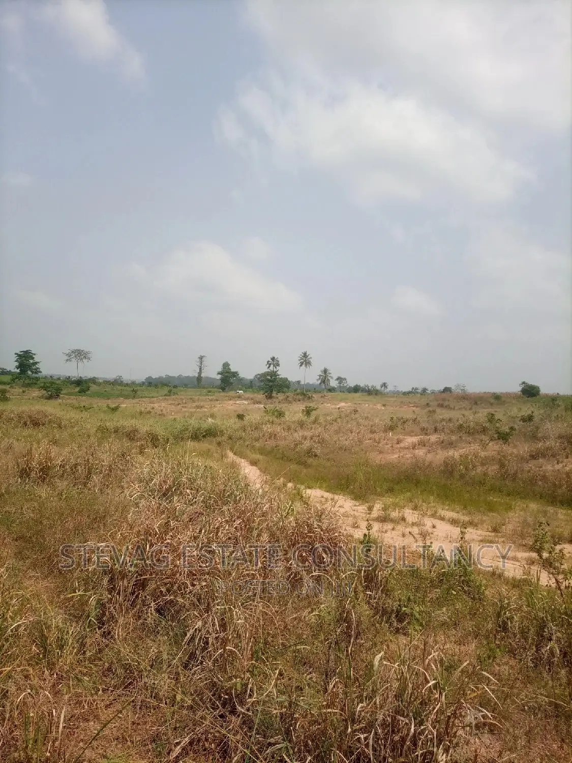 Alpha Properties Real Estate Land for Sale at Adawukwa