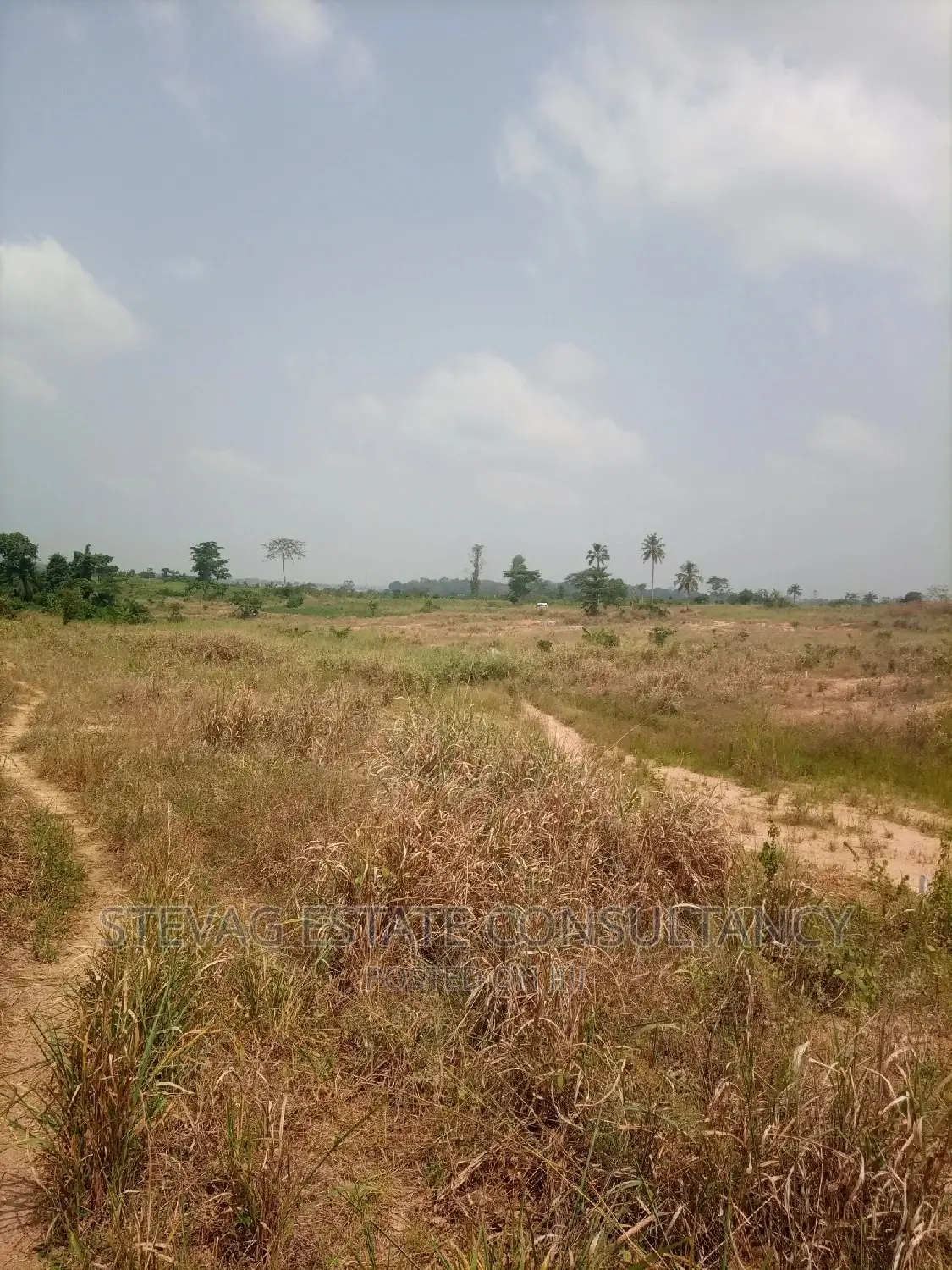Alpha Properties Real Estate Land for Sale at Adawukwa