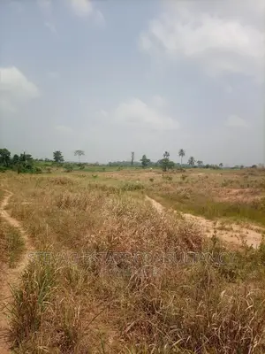 Alpha Properties Real Estate Land for Sale at Adawukwa